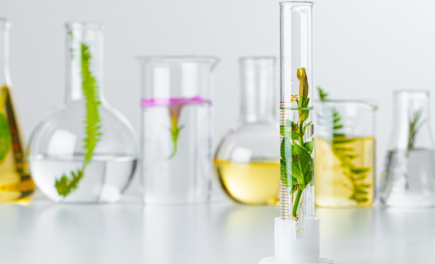 Biotechnologie als Schlüssel für Europas Wettbewerbsfähigkeit und medizinische Innovationen.